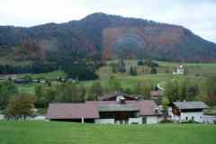 PA040686