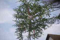 PICT0022