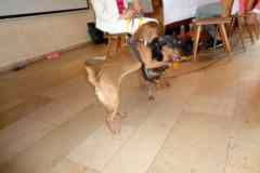 DSC00725